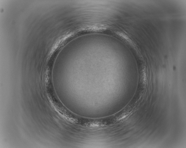 X0000054360736200507291021