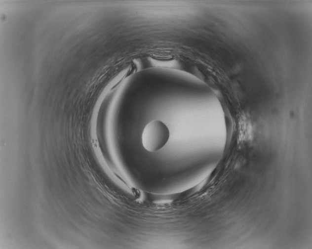 X0000054360750200507291021
