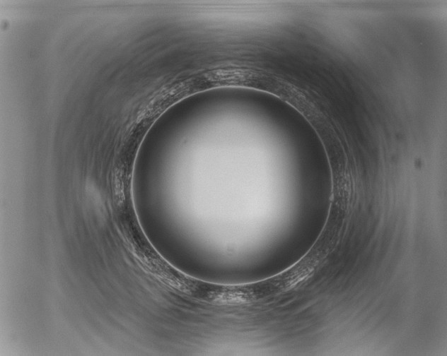 X0000054360751200507291021