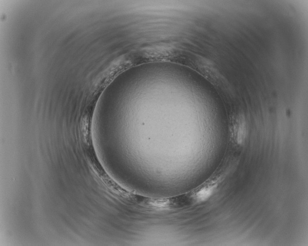 X0000054360767200507291021