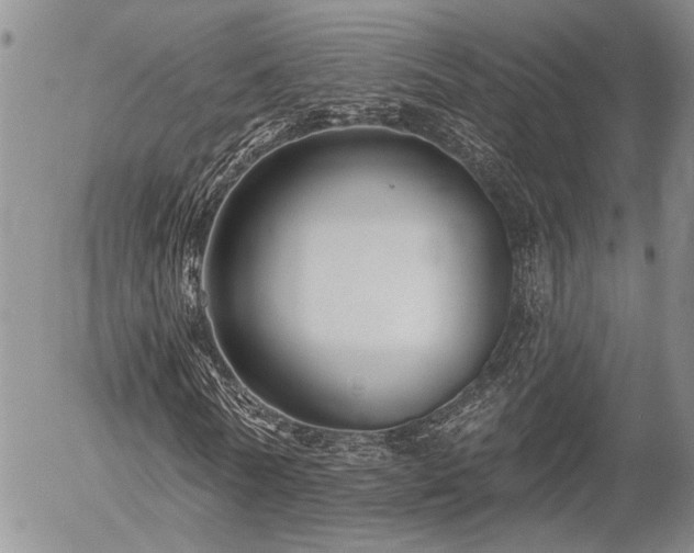 X0000054360770200507291020