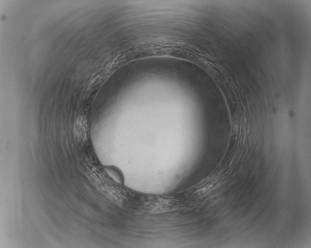 X0000054360772200507291020