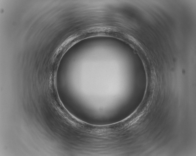 X0000054360778200507291020