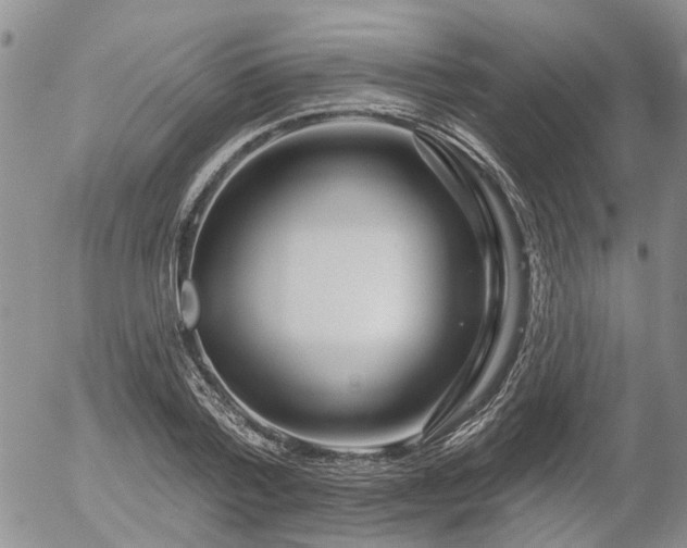 X0000054360788200507291020