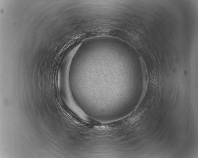 X0000054360818200507291019