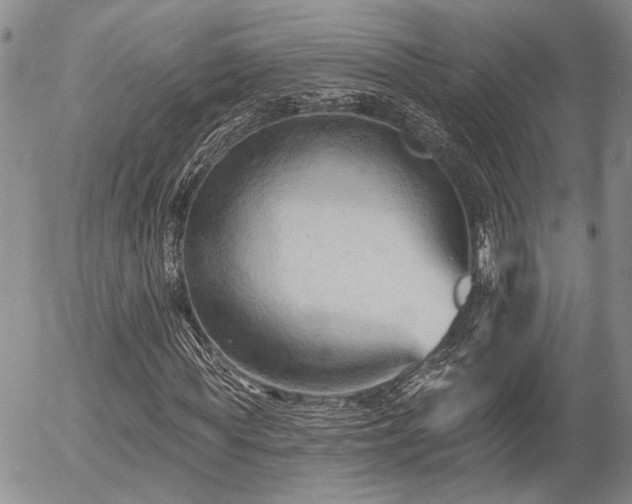 X0000054360819200507291019