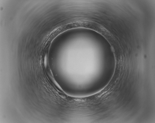 X0000054360822200507291019