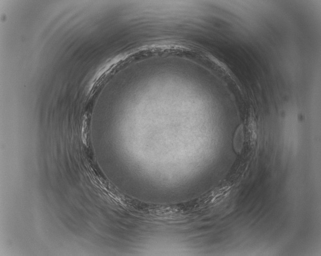 X0000054360823200507291019