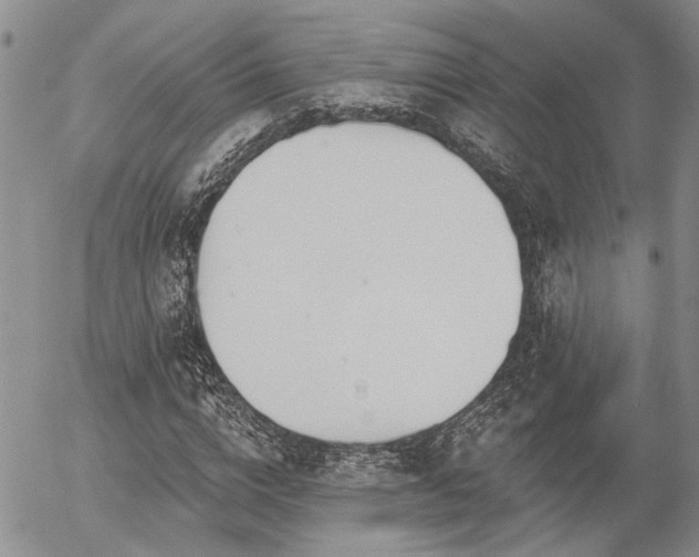 X0000054360824200507291019