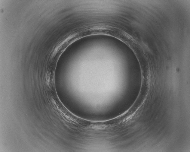 X0000054360825200507291019