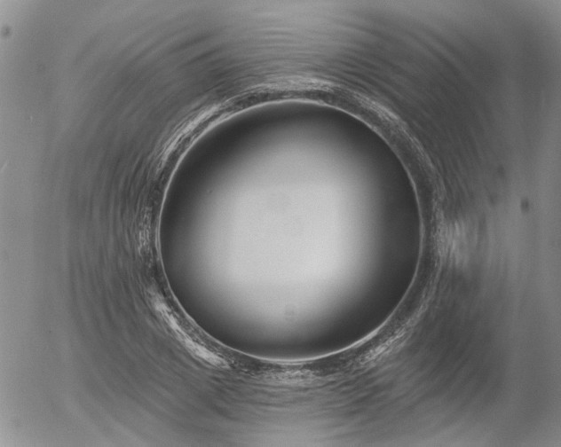 X0000054360833200507291019