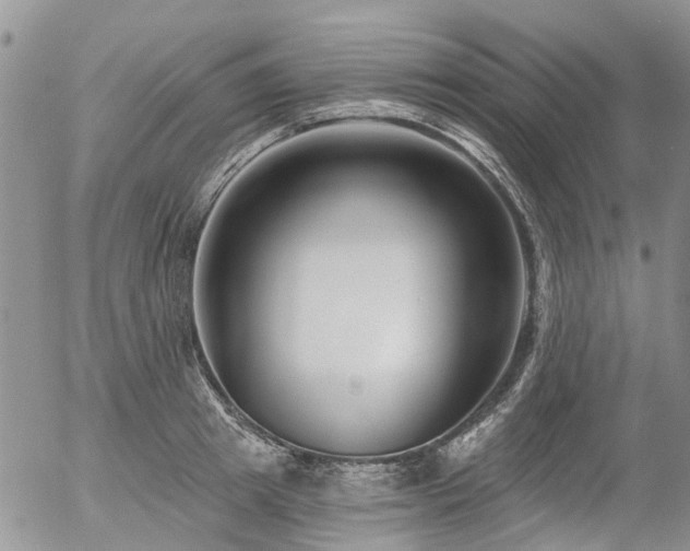 X0000054360849200507291019