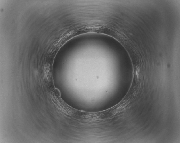 X0000054360867200507291019