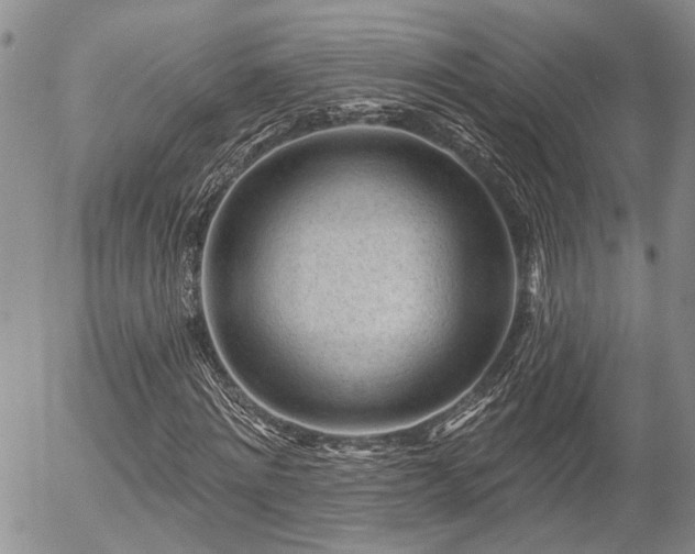 X0000054360868200507291019