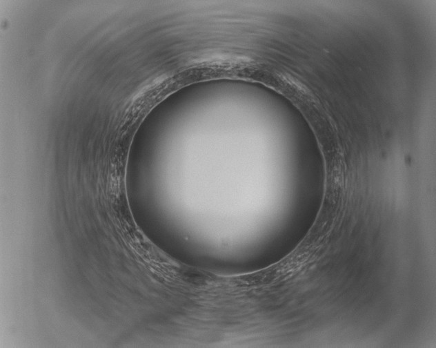 X0000054360869200507291019