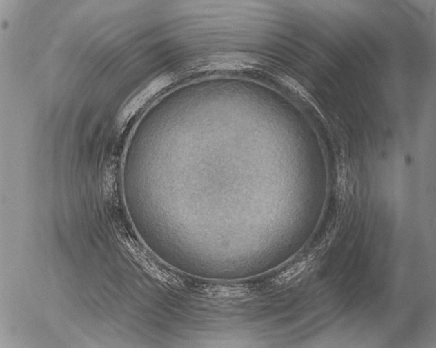 X0000054360874200507291019