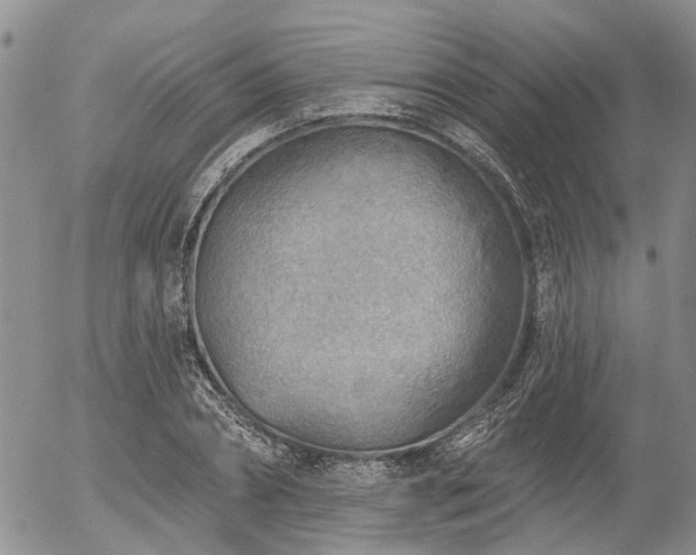 X0000054360882200507291019