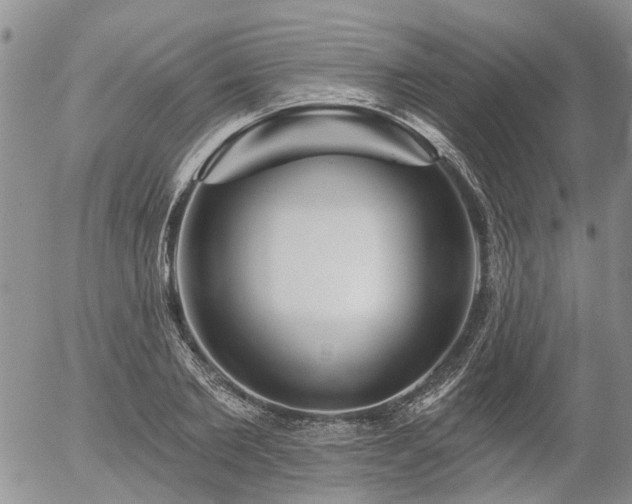 X0000054360885200507291018