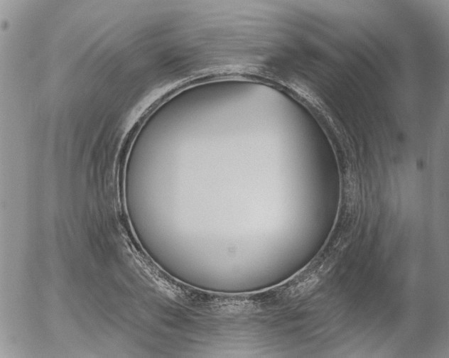 X0000054360886200507291018