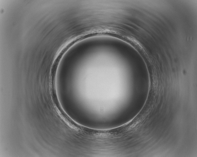 X0000054360894200507291018