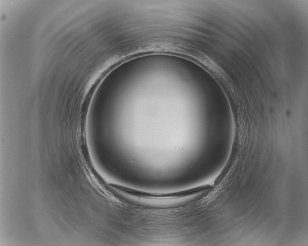 X0000054360896200507291018