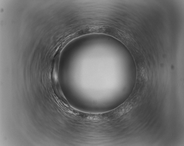 X0000054360914200507291017