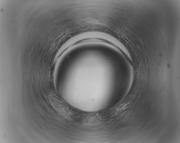 X0000054360916200507291017