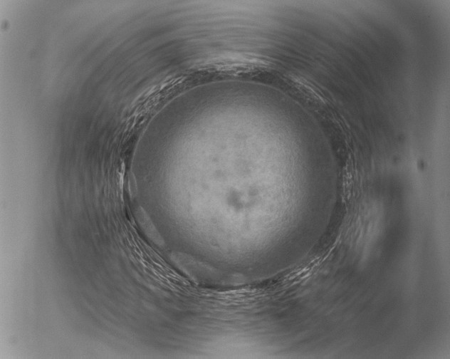 X0000054360917200507291017