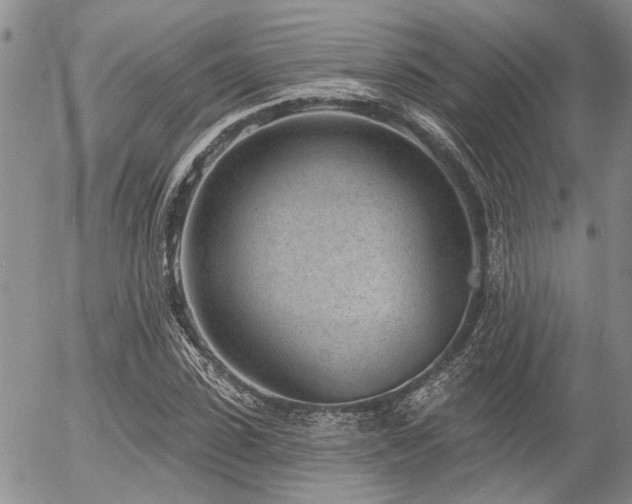 X0000054360923200507291017