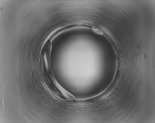 X0000054360932200507291018
