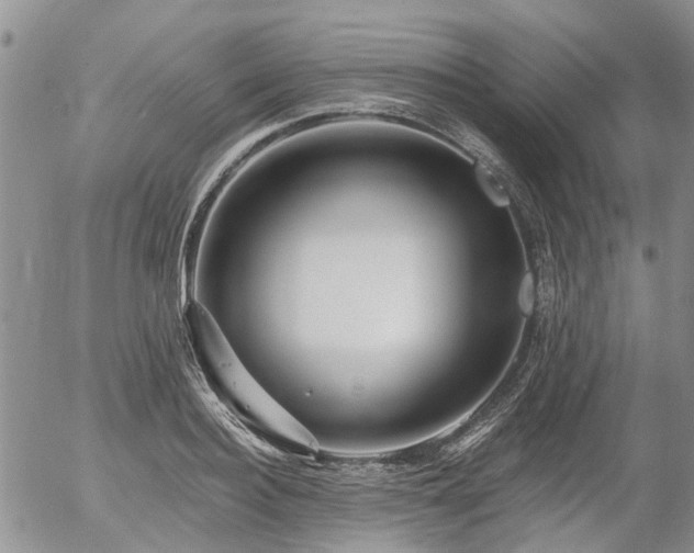 X0000054360940200507291018
