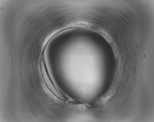 X0000054360960200507291018