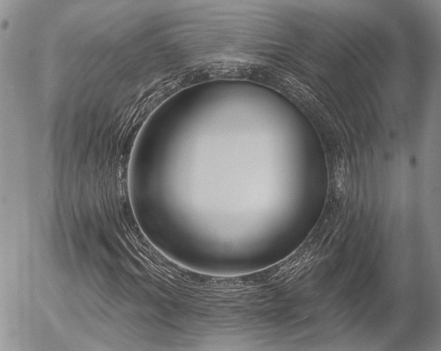 X0000054360964200507291017
