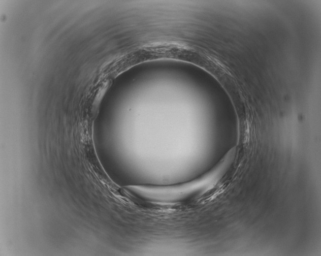 X0000054360965200507291017