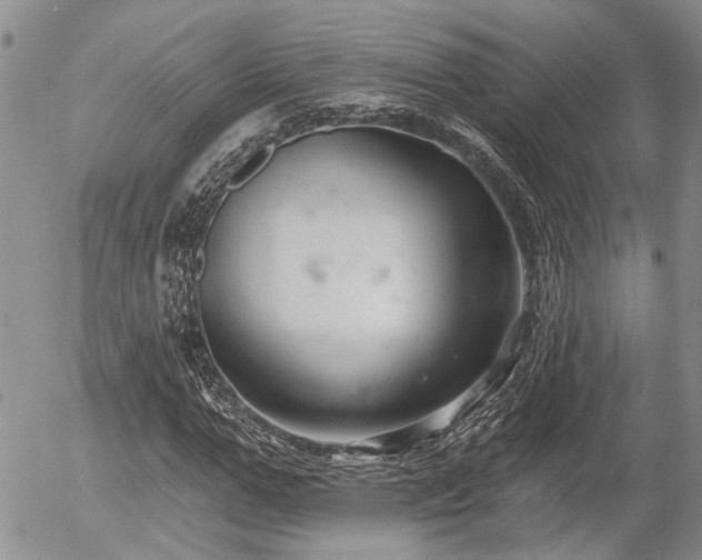 X0000054360967200507291017