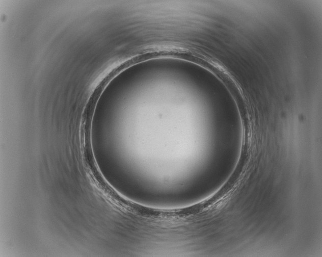 X0000054360983200507291017