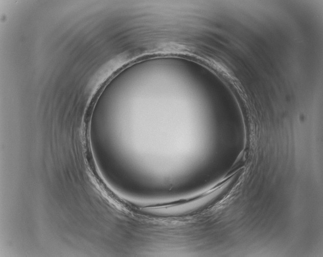 X0000054360990200507291017