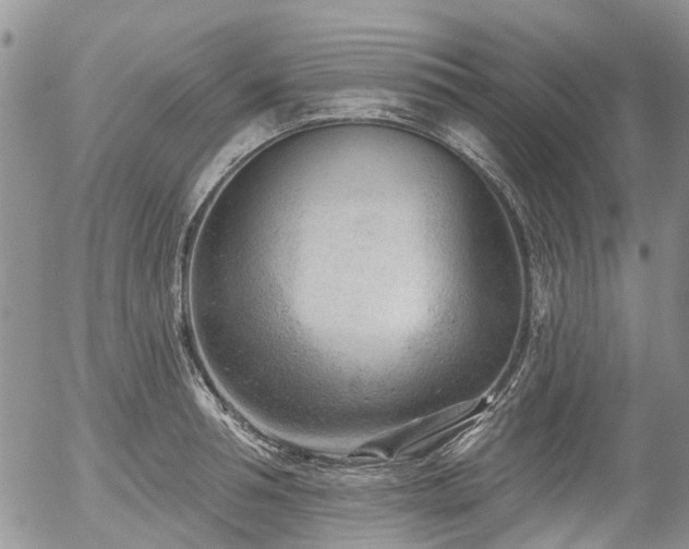 X0000054360994200507291017