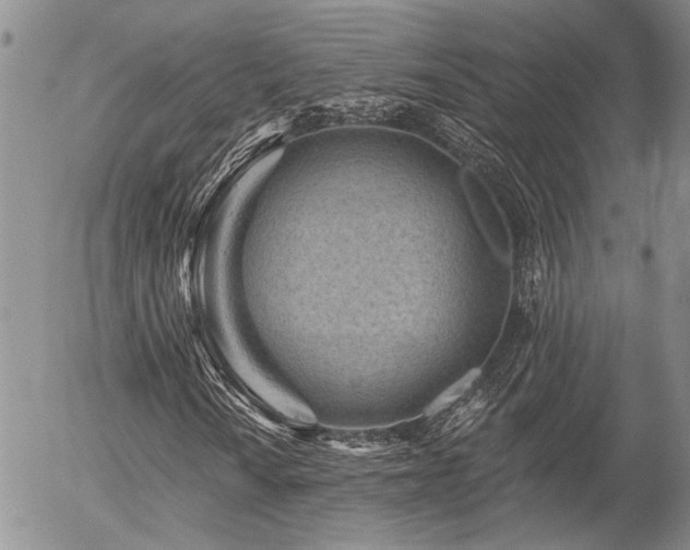 X0000054361010200507291016