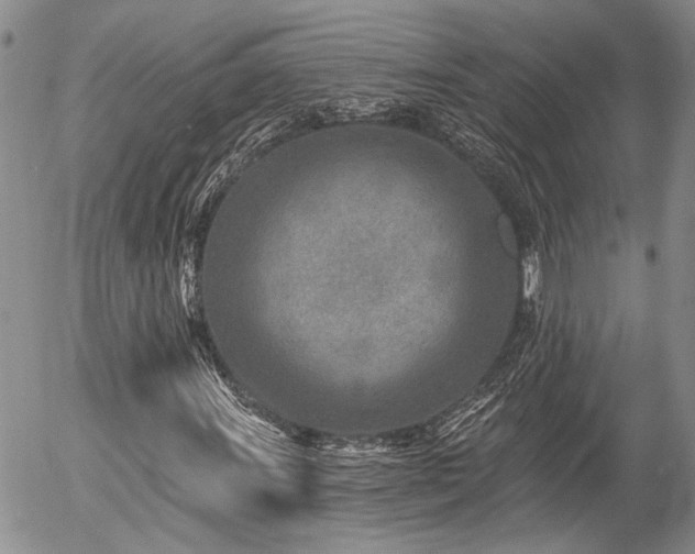 X0000054361011200507291016