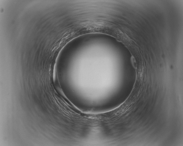 X0000054361012200507291016