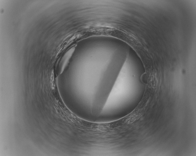 X0000054361013200507291016