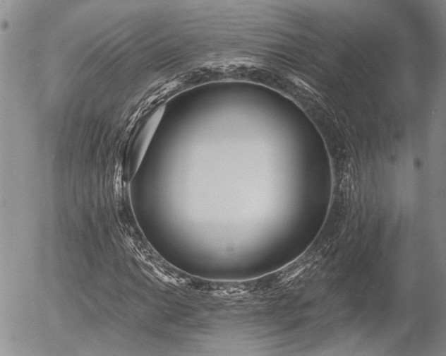 X0000054361014200507291016