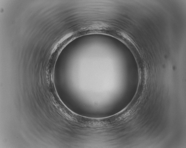 X0000054361018200507291016