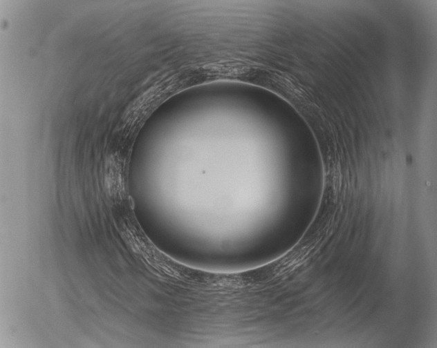 X0000054361058200507291016