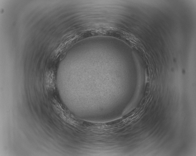 X0000054361060200507291016
