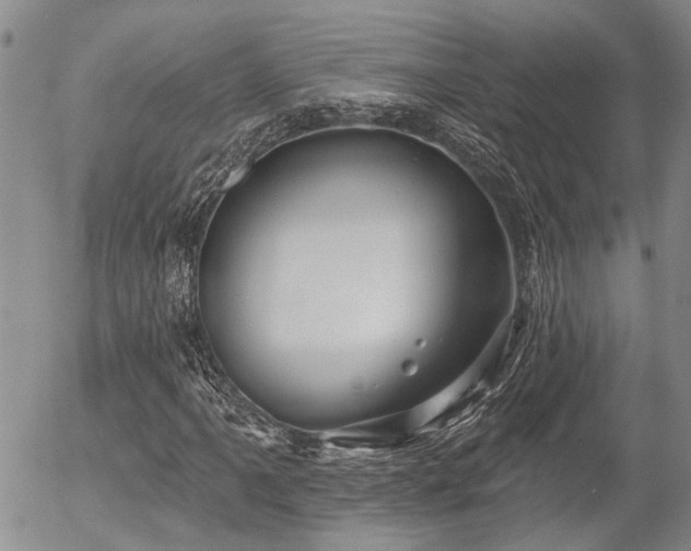X0000054361061200507291016