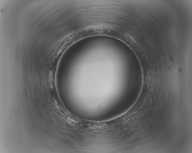 X0000054361062200507291016