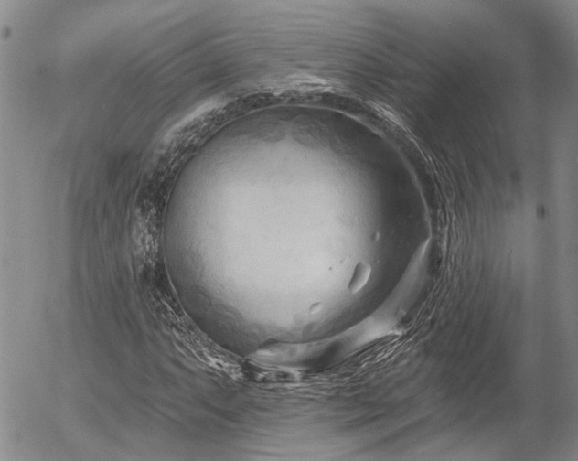 X0000054361063200507291016