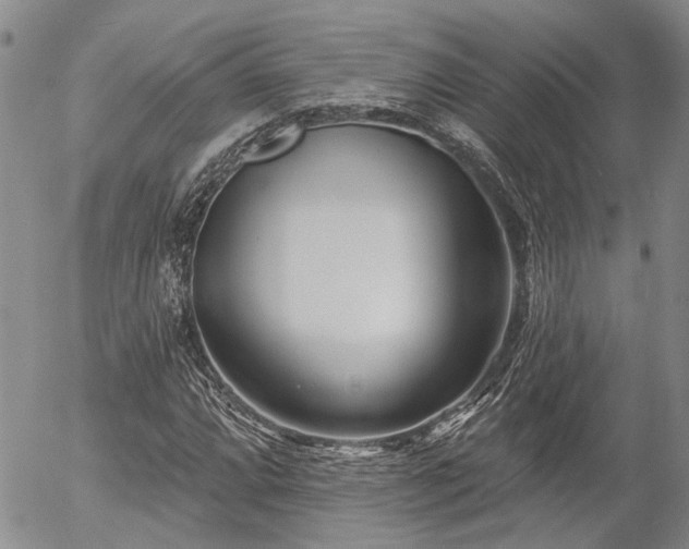 X0000054361064200507291016